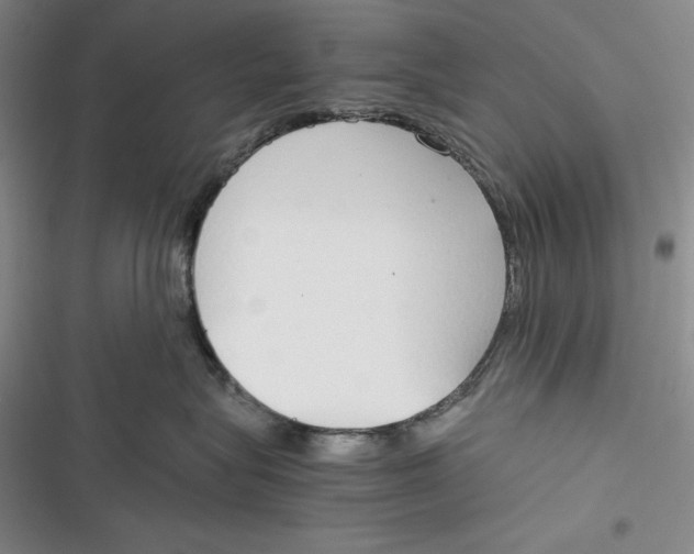 X0000116860575201001121243