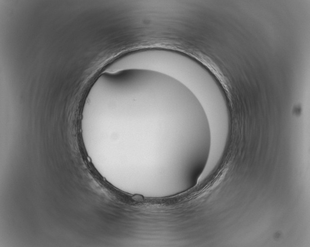 X0000116860577201001121242