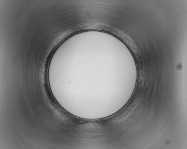 X0000116860578201001121242