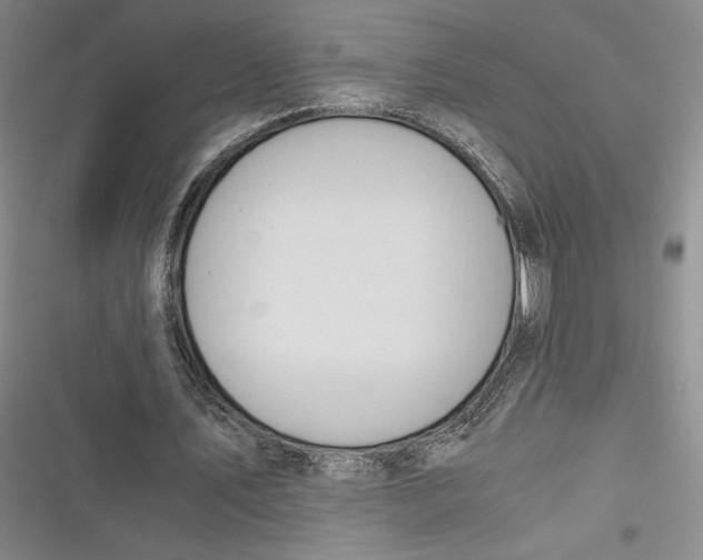 X0000116860579201001121242