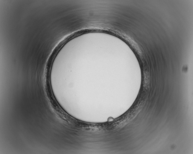 X0000116860580201001121242