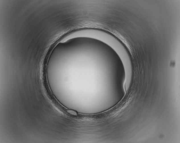 X0000116860581201001121242