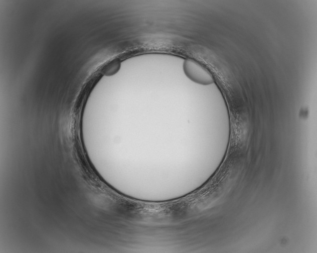 X0000116860583201001121242