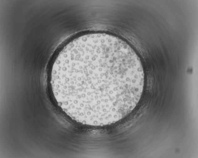 X0000116860584201001121242