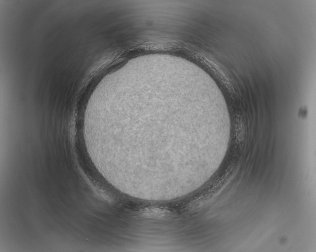 X0000116860586201001121242