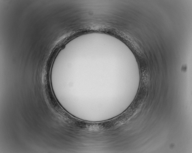 X0000116860587201001121242