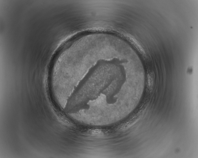 X0000116860588201001121242