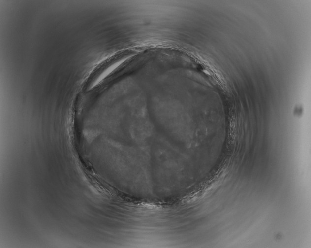 X0000116860592201001121242