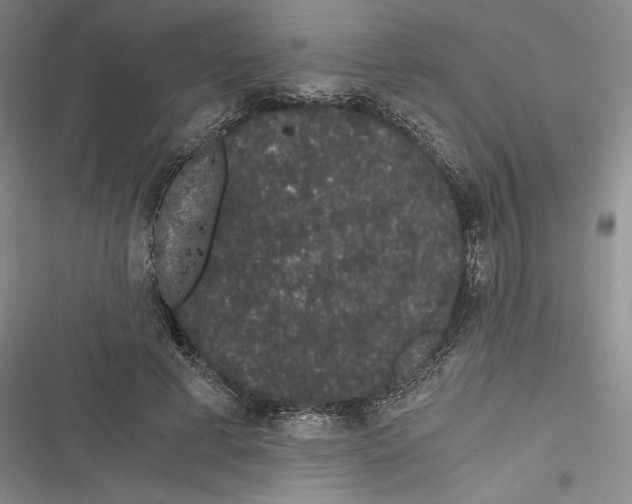 X0000116860593201001121242