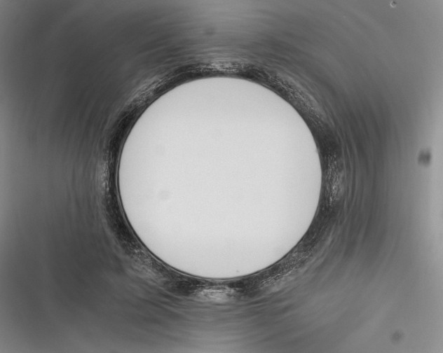 X0000116860595201001121242