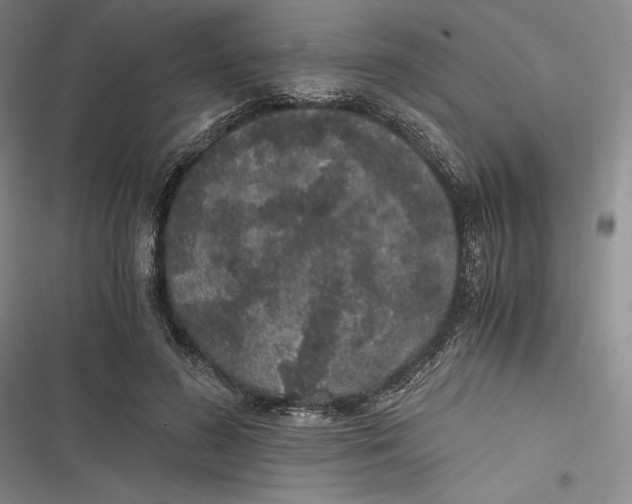 X0000116860596201001121242