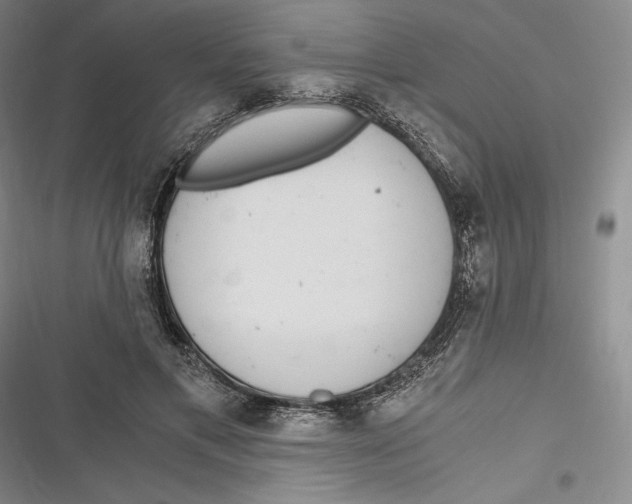 X0000116860597201001121242