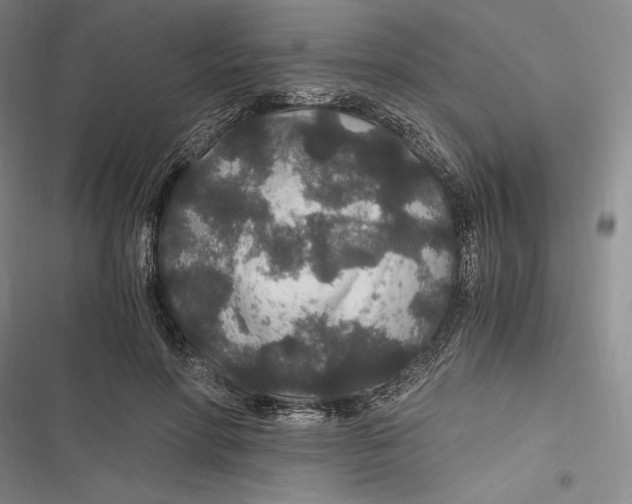 X0000116860598201001121242