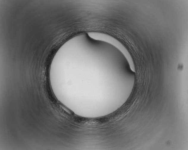 X0000116860599201001121242