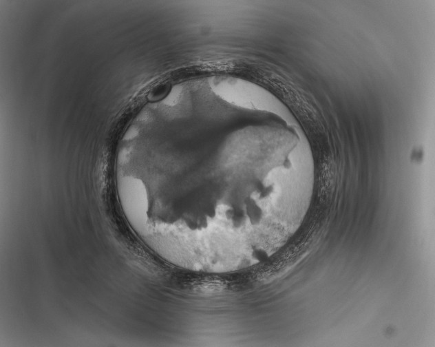 X0000116860600201001121242