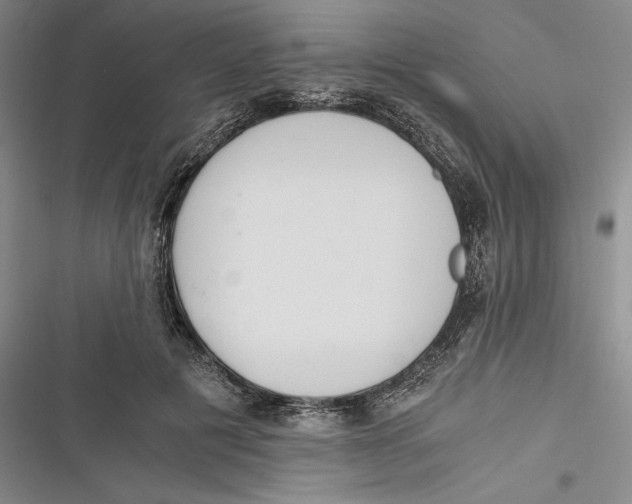 X0000116860601201001121242