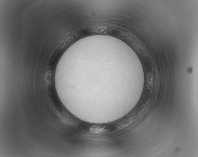 X0000116860602201001121242