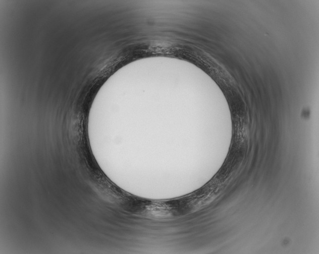 X0000116860603201001121242