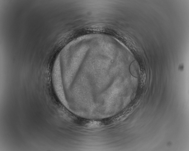 X0000116860609201001121242