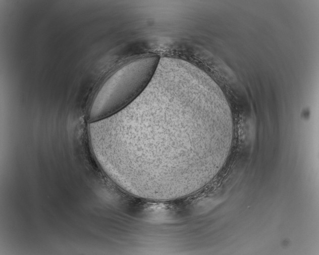 X0000116860611201001121242