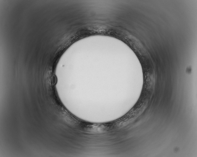 X0000116860612201001121242