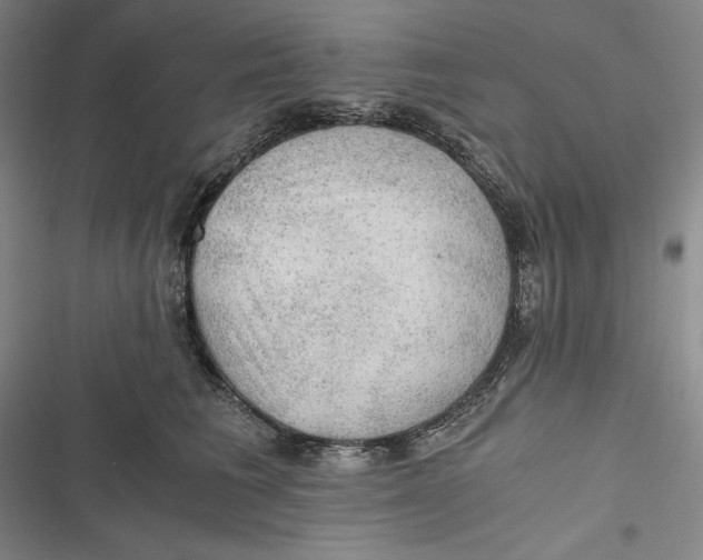 X0000116860613201001121242