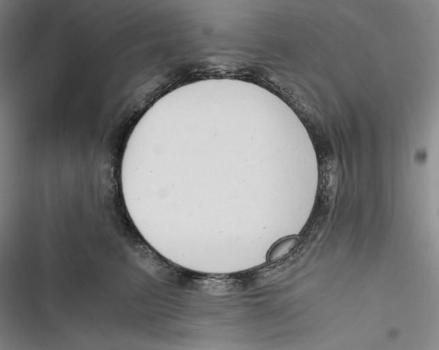 X0000116860615201001121242