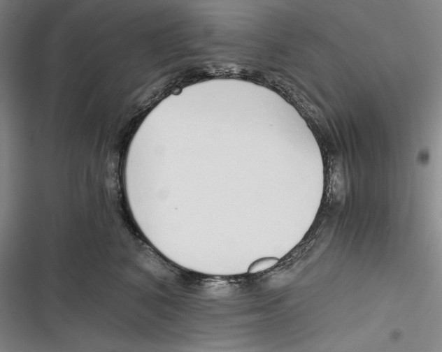 X0000116860616201001121242