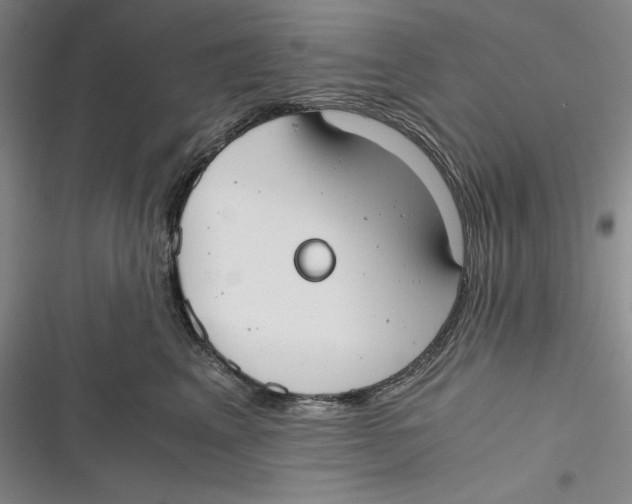 X0000116860617201001121242