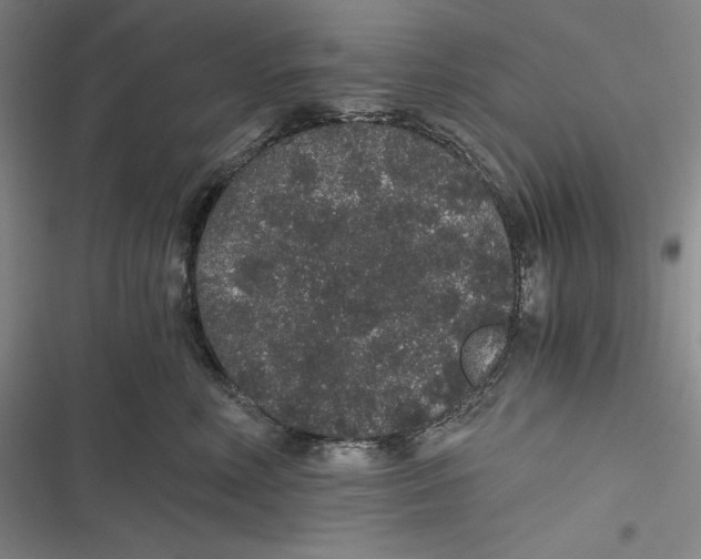 X0000116860618201001121242