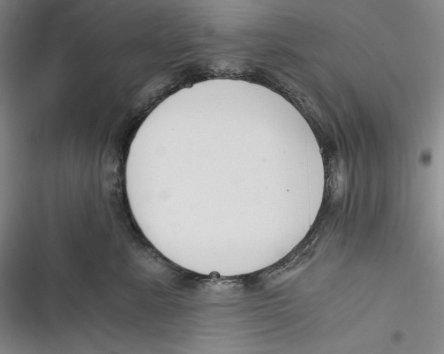 X0000116860619201001121242