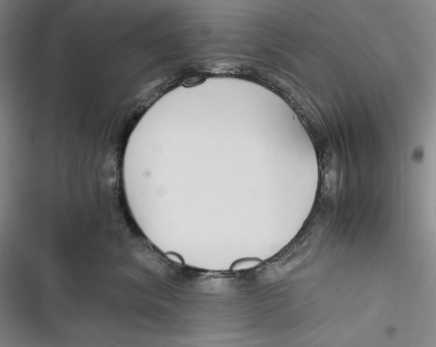 X0000116860620201001121242