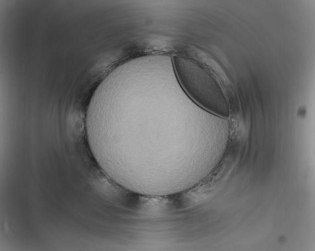 X0000116860621201001121242