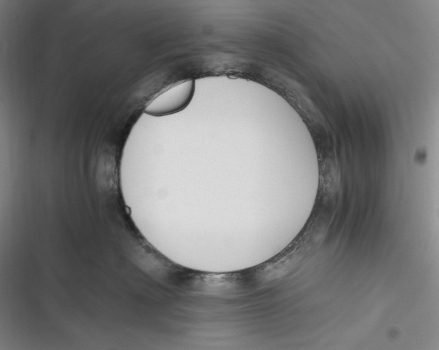 X0000116860622201001121242