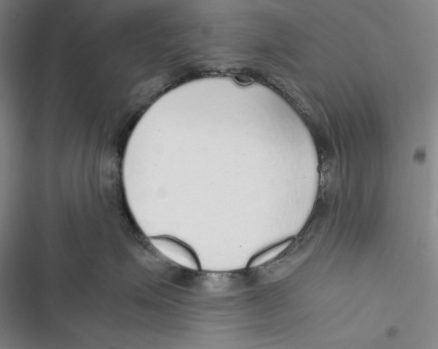 X0000116860623201001121242