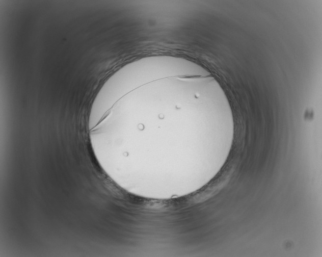 X0000116860624201001121242