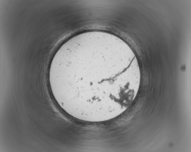 X0000116860625201001121241