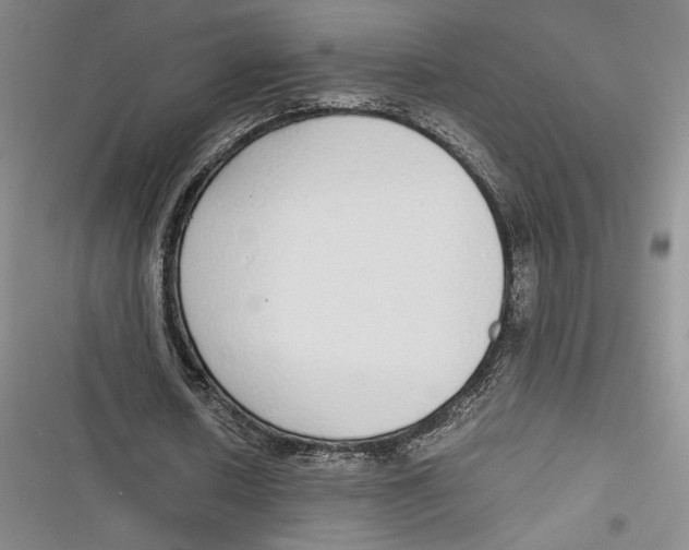 X0000116860626201001121241