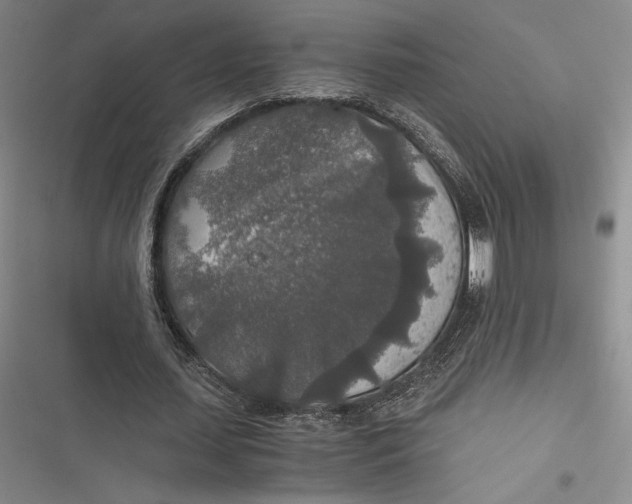 X0000116860627201001121241