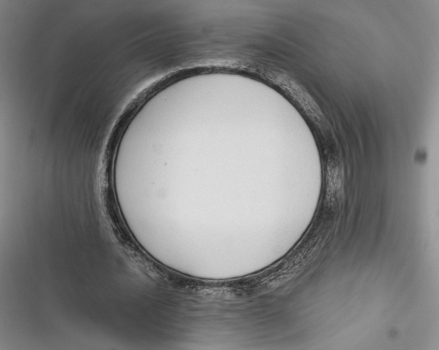 X0000116860628201001121241