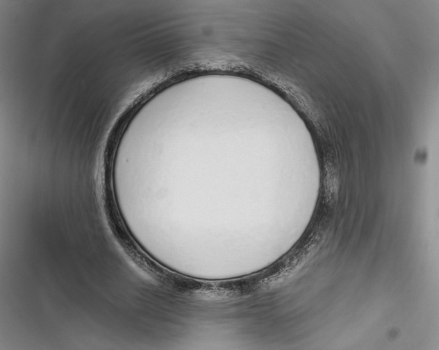 X0000116860630201001121241