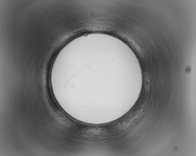 X0000116860631201001121241