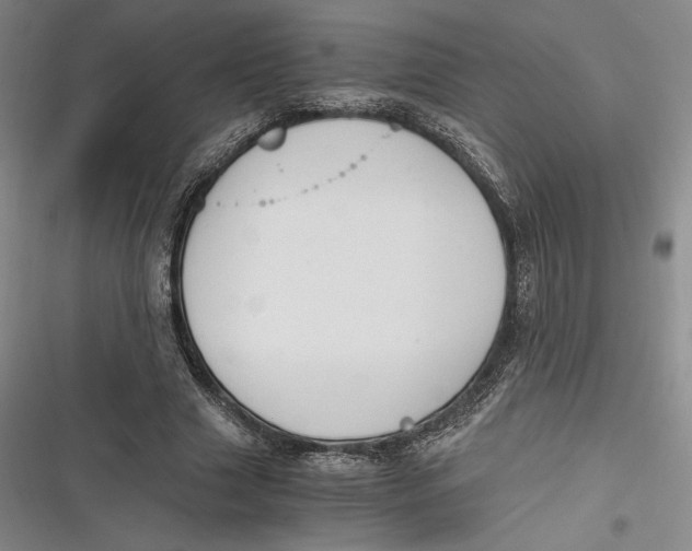 X0000116860633201001121241