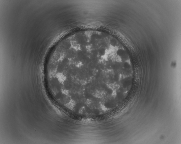 X0000116860634201001121241