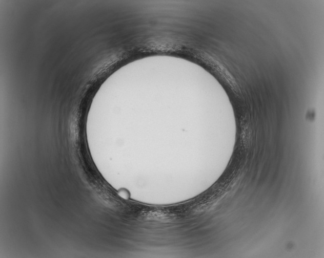 X0000116860635201001121241