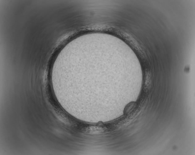 X0000116860636201001121241