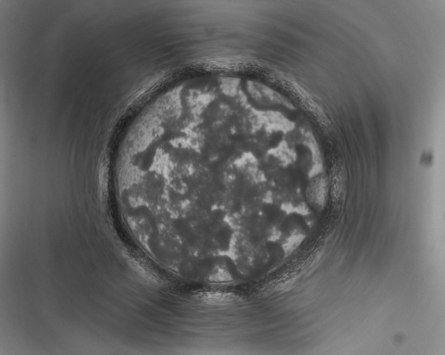 X0000116860637201001121241