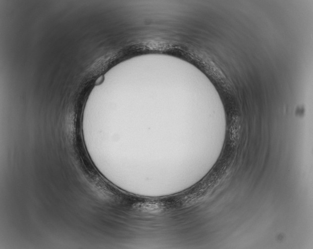 X0000116860639201001121241