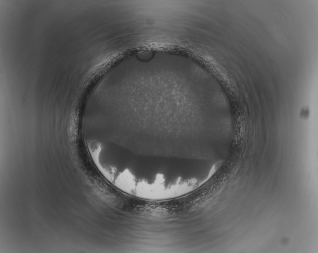 X0000116860640201001121241