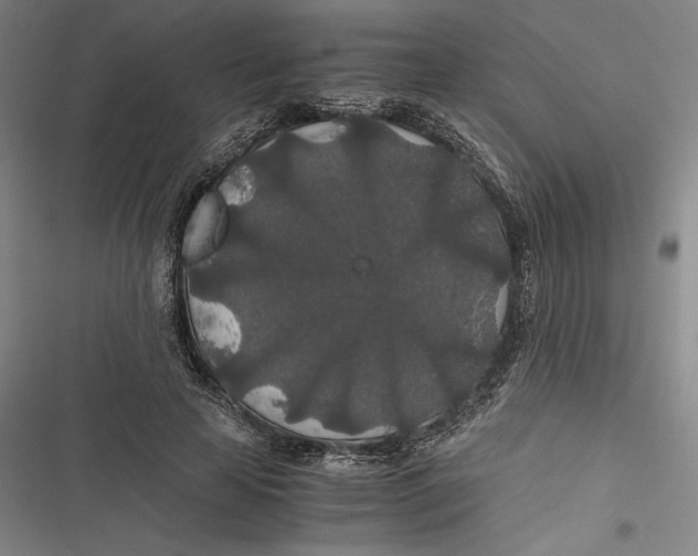 X0000116860641201001121241